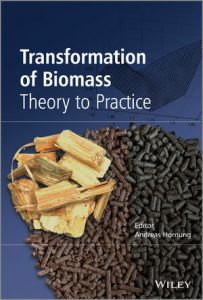 Download Free Transformation of Biomass Theory to Practice In PDF Formats