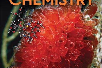 Organic Chemistry 6th Edition