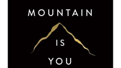 The Mountain Is You PDF